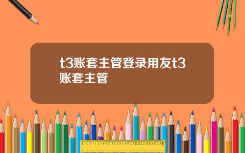 t3账套主管登录用友t3账套主管