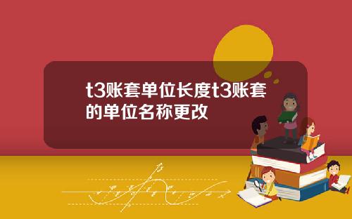 t3账套单位长度t3账套的单位名称更改