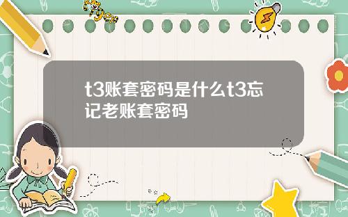 t3账套密码是什么t3忘记老账套密码