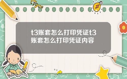 t3账套怎么打印凭证t3账套怎么打印凭证内容