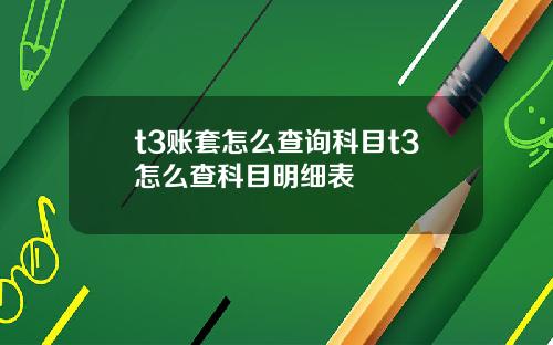 t3账套怎么查询科目t3怎么查科目明细表