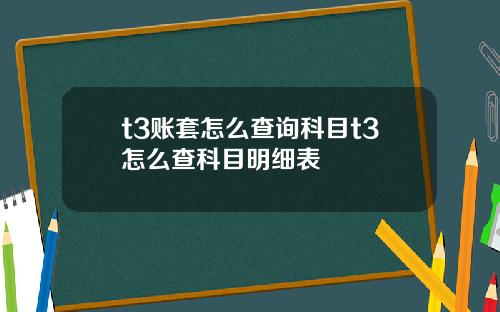 t3账套怎么查询科目t3怎么查科目明细表