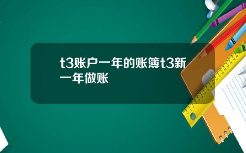 t3账户一年的账簿t3新一年做账