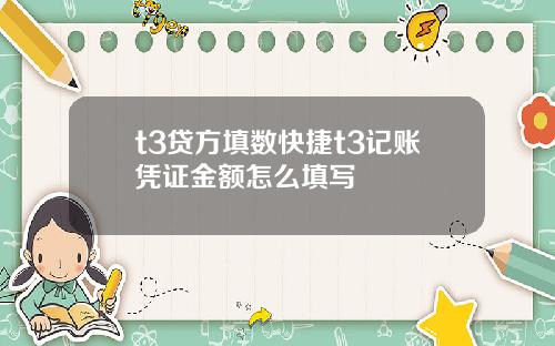 t3贷方填数快捷t3记账凭证金额怎么填写