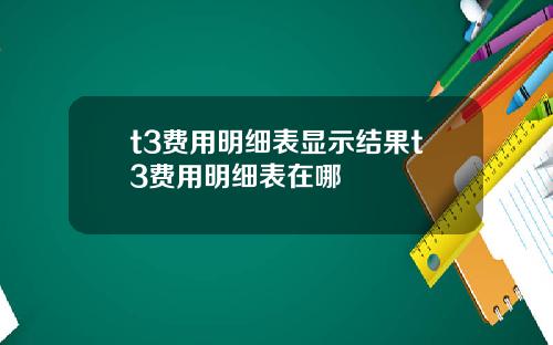 t3费用明细表显示结果t3费用明细表在哪