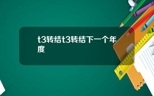 t3转结t3转结下一个年度
