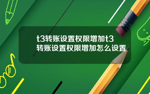 t3转账设置权限增加t3转账设置权限增加怎么设置