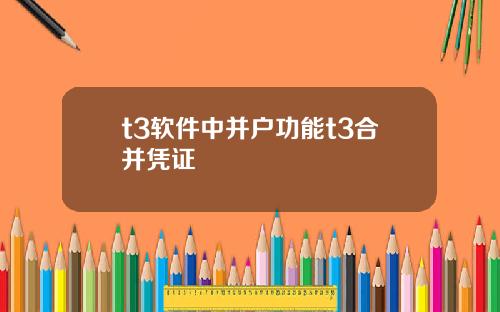 t3软件中并户功能t3合并凭证