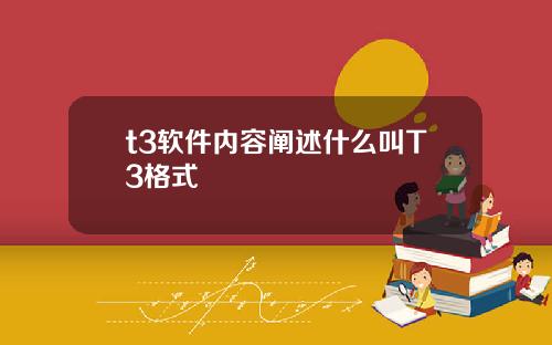 t3软件内容阐述什么叫T3格式