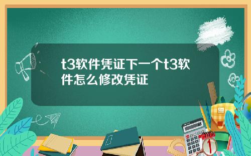 t3软件凭证下一个t3软件怎么修改凭证
