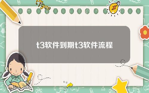 t3软件到期t3软件流程