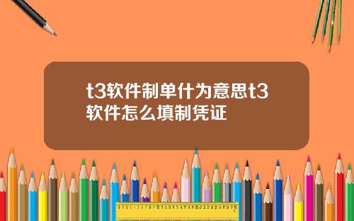 t3软件制单什为意思t3软件怎么填制凭证