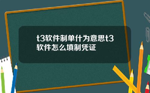 t3软件制单什为意思t3软件怎么填制凭证