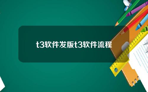 t3软件发版t3软件流程