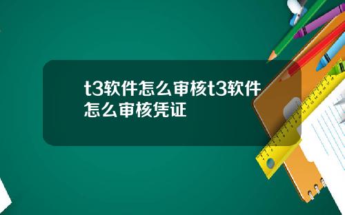 t3软件怎么审核t3软件怎么审核凭证