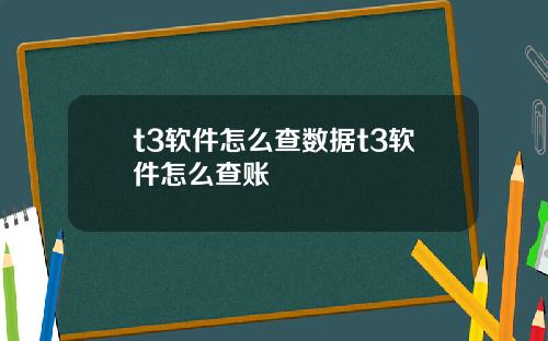 t3软件怎么查数据t3软件怎么查账