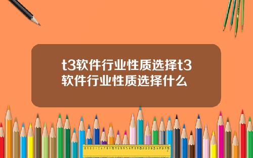 t3软件行业性质选择t3软件行业性质选择什么