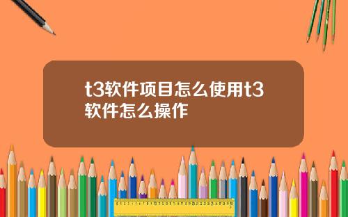 t3软件项目怎么使用t3软件怎么操作