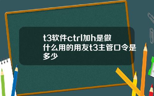 t3软件ctrl加h是做什么用的用友t3主管口令是多少