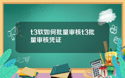 t3软如何批量审核t3批量审核凭证