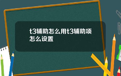 t3辅助怎么用t3辅助项怎么设置