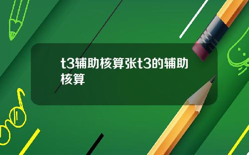 t3辅助核算张t3的辅助核算