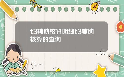 t3辅助核算明细t3辅助核算的查询