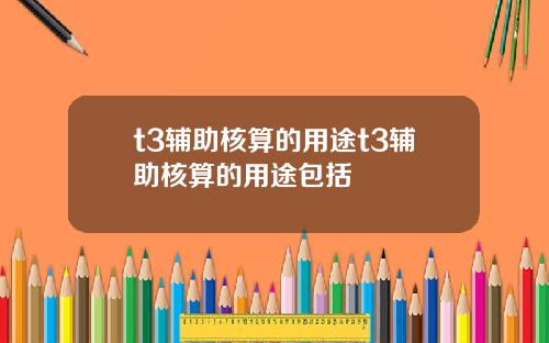 t3辅助核算的用途t3辅助核算的用途包括