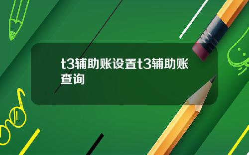 t3辅助账设置t3辅助账查询
