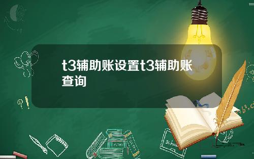 t3辅助账设置t3辅助账查询