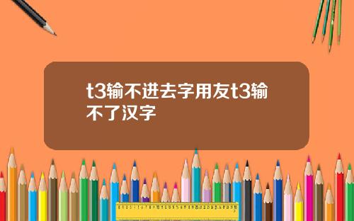 t3输不进去字用友t3输不了汉字