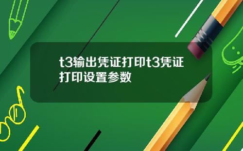 t3输出凭证打印t3凭证打印设置参数