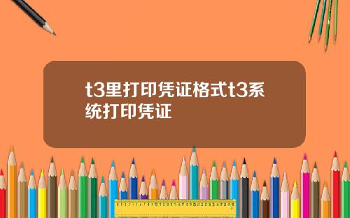 t3里打印凭证格式t3系统打印凭证
