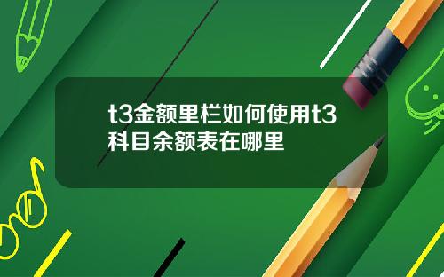 t3金额里栏如何使用t3科目余额表在哪里