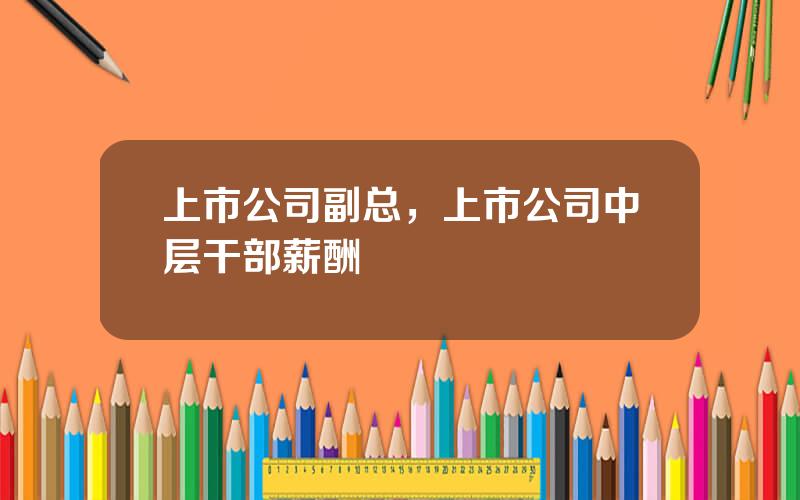 上市公司副总，上市公司中层干部薪酬
