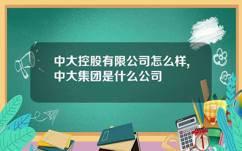 中大控股有限公司怎么样,中大集团是什么公司