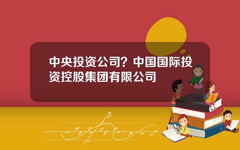 中央投资公司？中国国际投资控股集团有限公司