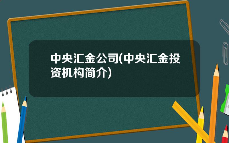 中央汇金公司(中央汇金投资机构简介)