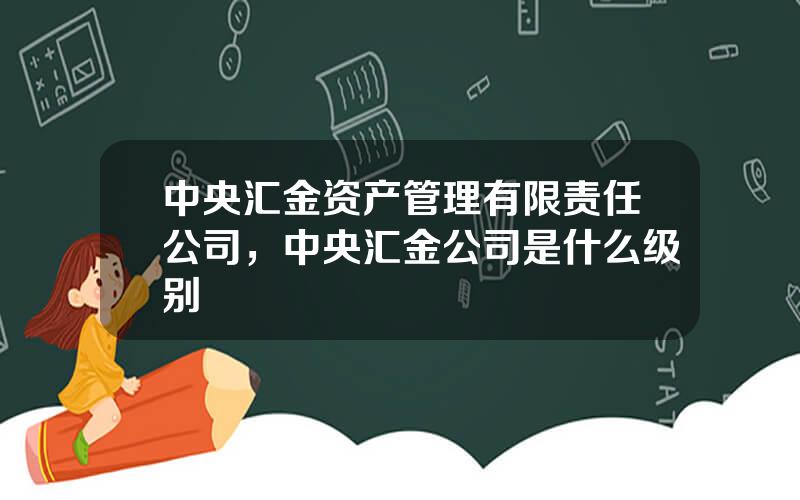 中央汇金资产管理有限责任公司，中央汇金公司是什么级别