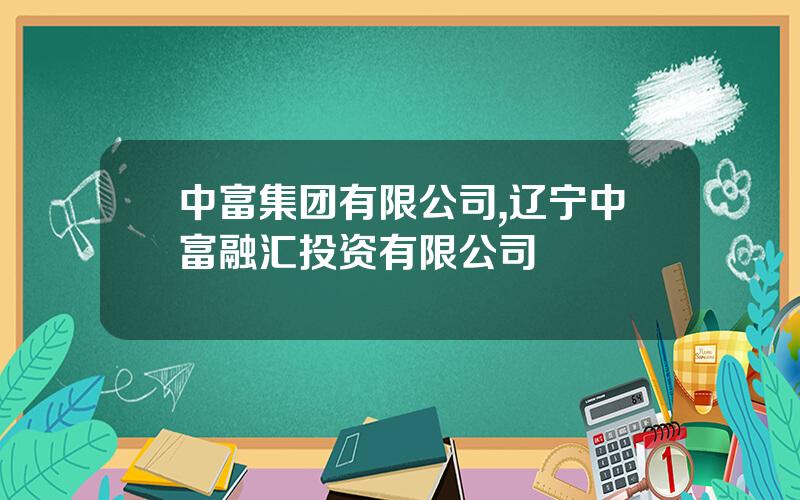 中富集团有限公司,辽宁中富融汇投资有限公司