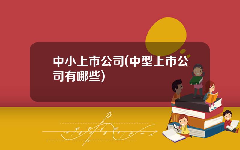 中小上市公司(中型上市公司有哪些)