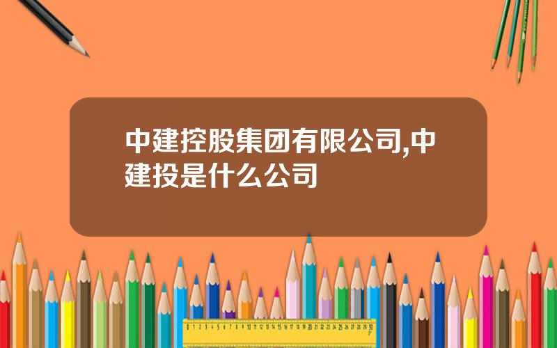 中建控股集团有限公司,中建投是什么公司