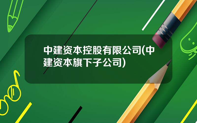 中建资本控股有限公司(中建资本旗下子公司)