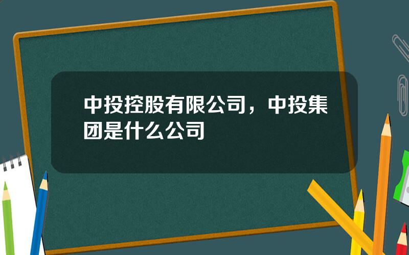 中投控股有限公司，中投集团是什么公司