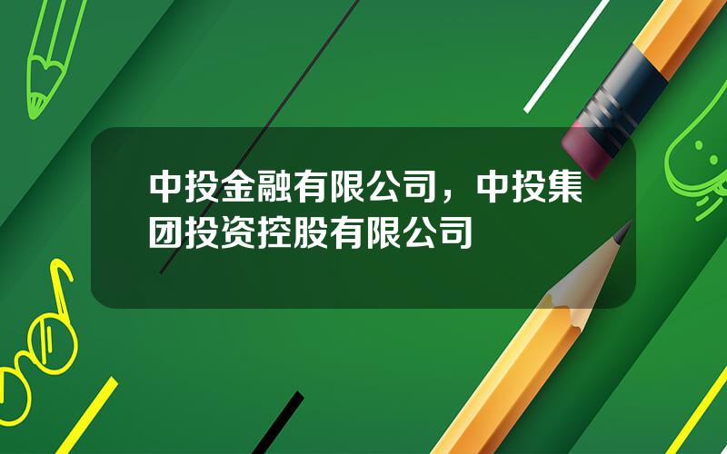 中投金融有限公司，中投集团投资控股有限公司