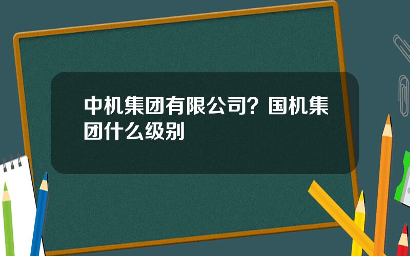 中机集团有限公司？国机集团什么级别