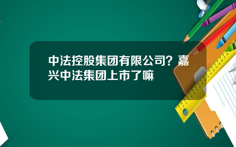 中法控股集团有限公司？嘉兴中法集团上市了嘛