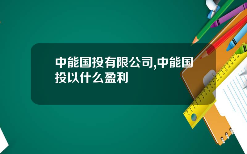 中能国投有限公司,中能国投以什么盈利