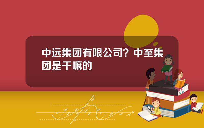 中远集团有限公司？中至集团是干嘛的