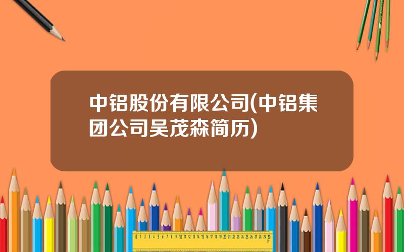 中铝股份有限公司(中铝集团公司吴茂森简历)